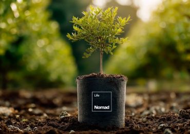 Nomad Life және Nomad Insurance: №23 мектептегі шыршалар